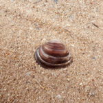 Glückspärchen Auszeit Strand Zandvoort