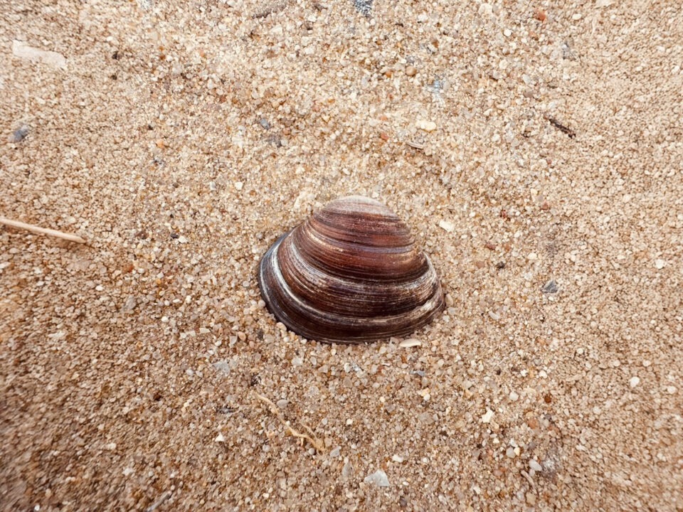 Glückspärchen Auszeit Strand Zandvoort