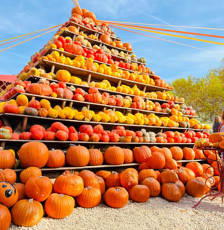 Glückspärchen Ausflug Herbst Gertrudenhof